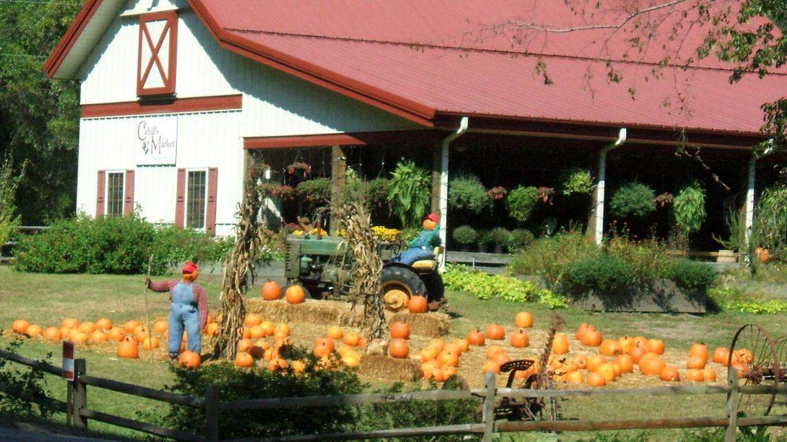 Cahill's Market in October 2007 with its Halloween display of pumpkins.