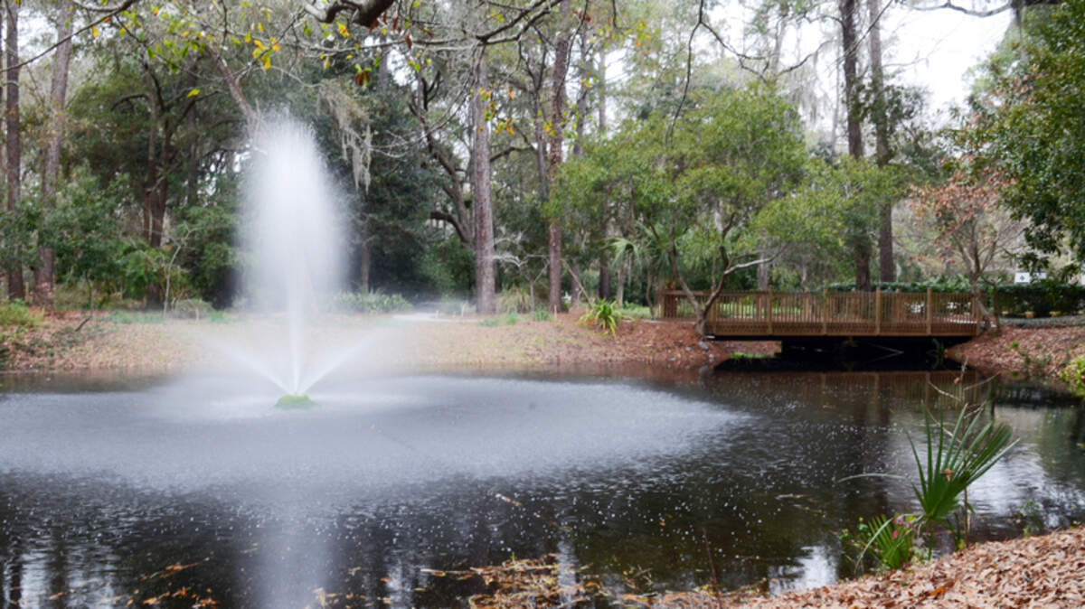 The Town of Hilton Head Island's Xeriscape Garden at Town Hall.
