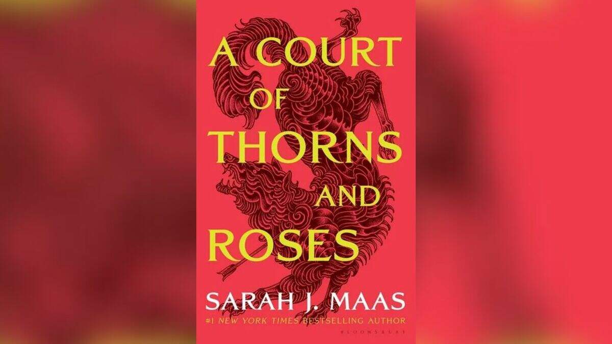 “A Court of Thorns and Roses’ is a popular fantasy romance series.