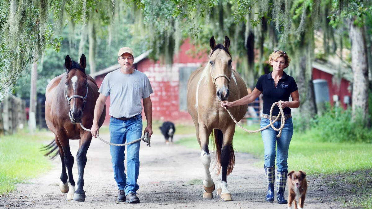 Tim and Gini Quade, of Above Standard Equestrian, turn their horses out for the night Sept. 24, 2015.