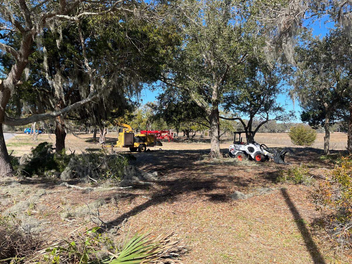 Sea Island Tree Care trims trees in Port Royal between Sands Beach Road and the marsh. The Town Council approved $11,500 for the tree and brush cleanup work which is part of the development of a new park that has yet to be named.