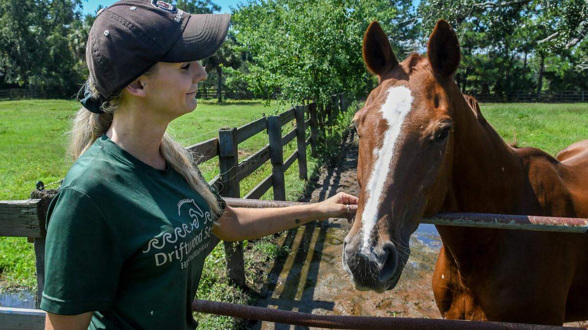 Sondra Makowski, co-owner of Driftwood Stables with her younger sister, pets her 22-year-old horse Goldwyn on Tuesday, Sept. 13, 2022 on Hilton Head Island. The landowner is rezoning the land residential, giving Driftwood Stables and their horses 60 days to find a new home. “He’s a business owner, I get it,” Makowski said as her dog Tator Tot weaved in and out of the numerous corrals.