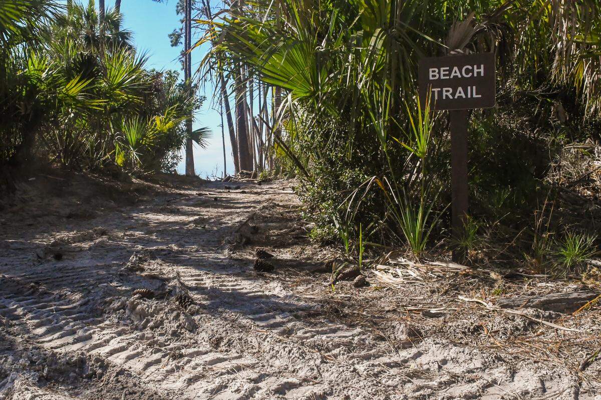 One of several trails that guests of St. Phillips Island can utilize while staying at former home of media mogul Ted Turner that is now a South Carolina state owned park.