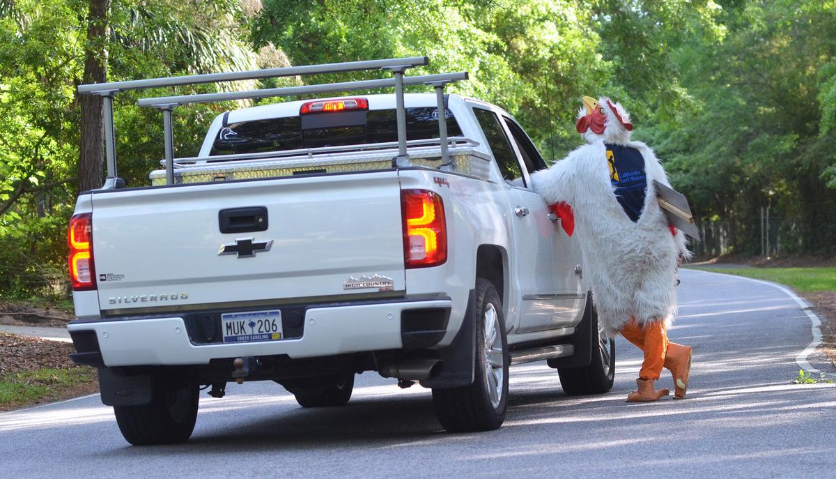 Logan Cambron talks with a passing neighbor while patrolling Point Comfort Road for speeders in his chicken suit on Thursday.