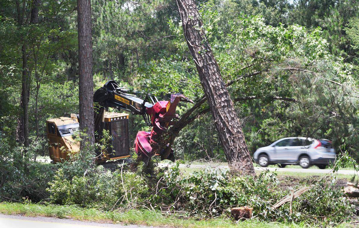 A Tigercat feller buncher was busy cutting trees in the median of I-95 between mile markers 8 and 9 on June 19, 2018. The work was part of a $9.8 million tree removal project meant to enhance safety along the stretch of interstate running through Jasper County.