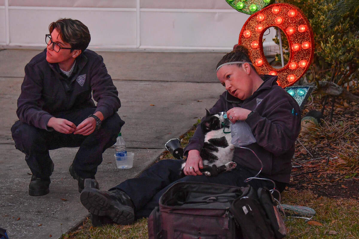A cat who was pulled from the fire was given oxygen through a mask by emergency responders and later taken to a local veterinarian for treatment, fire officials say.