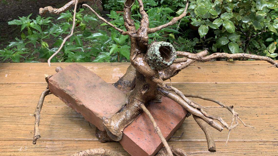 Sheet lightning, frog-choker rain and keeping an eye out for hidden Lowcountry art