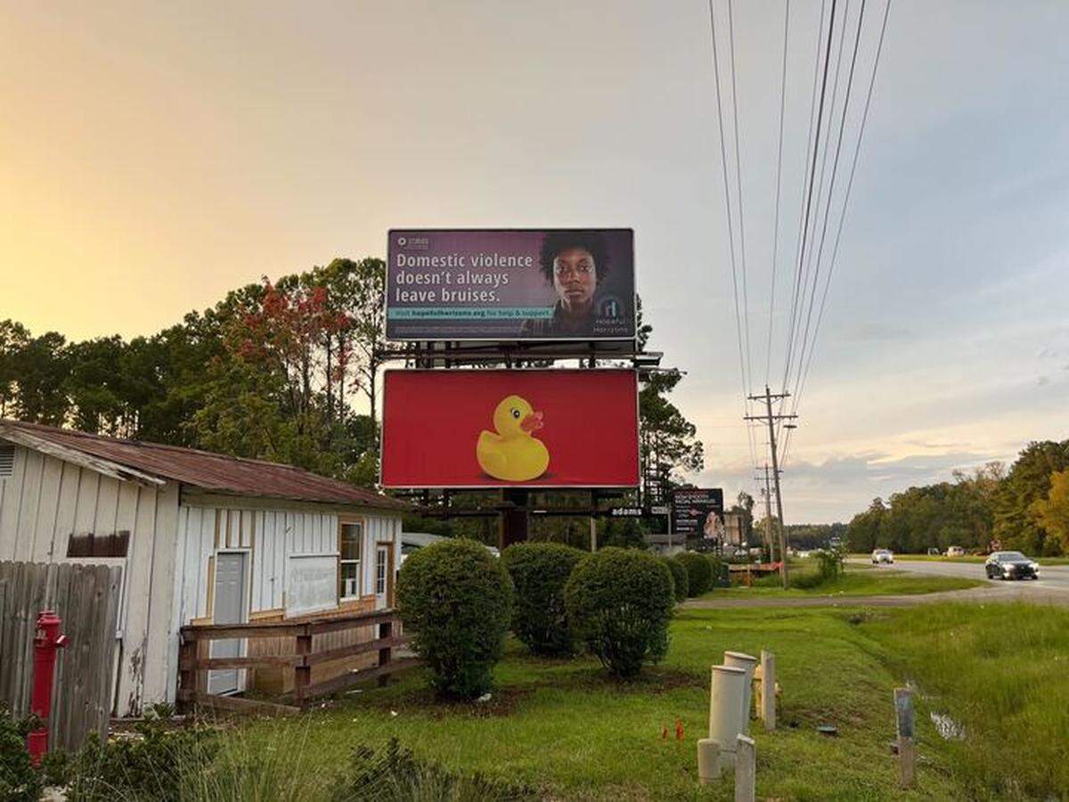 Adams Outdoor Advertising “duck” billboard campaign, seen on S.C. 170 between Beaufort and Jasper counties.
