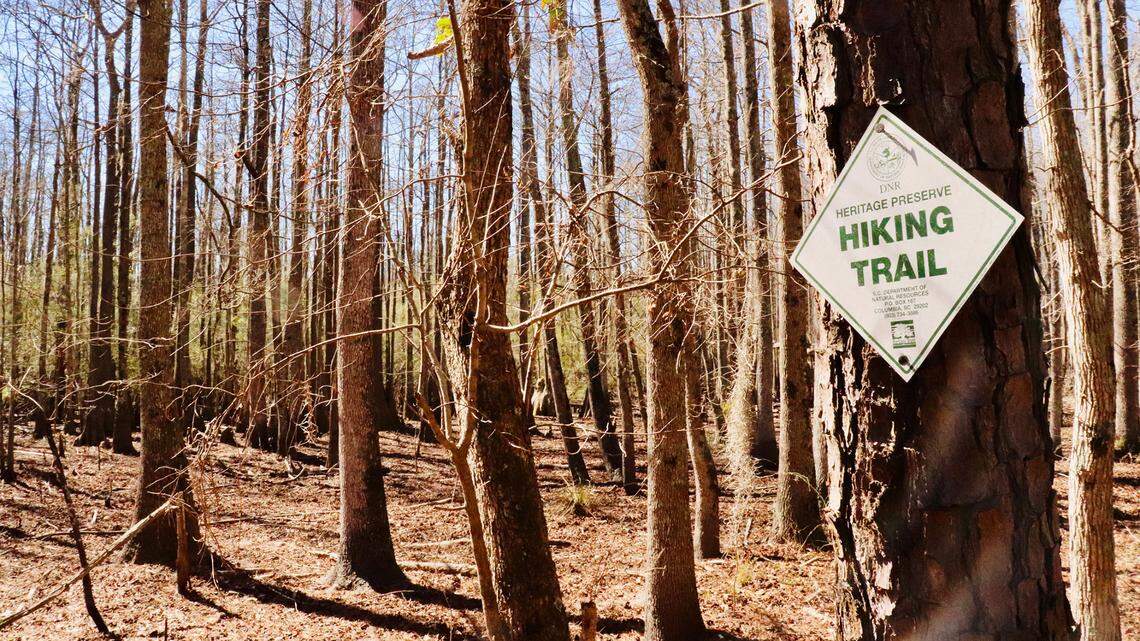 Get lost in the primitive beauty of SC’s Cathedral Bay and Ditch Pond Heritage preserves 