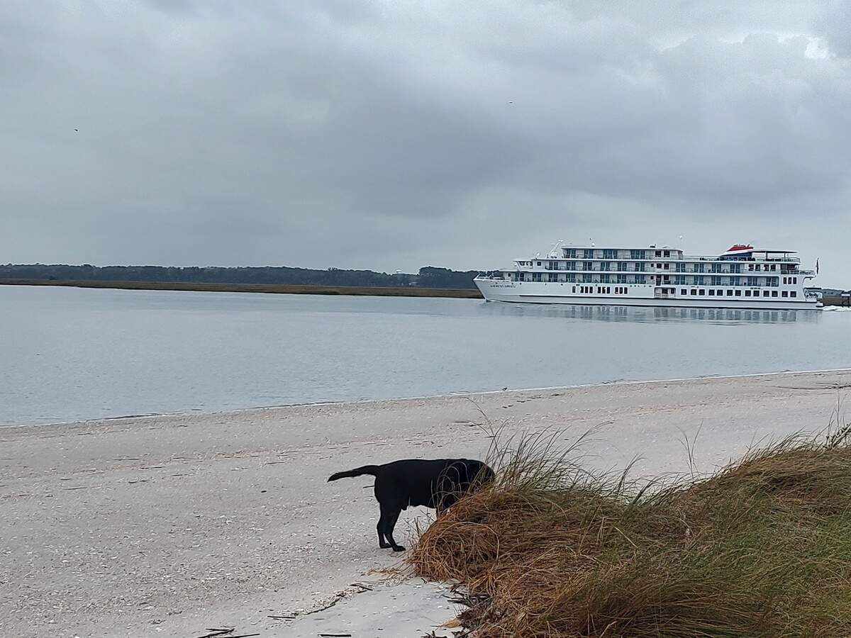 The four-deck American Liberty in Battery Creek as it leaves Port Royal Monday morning.