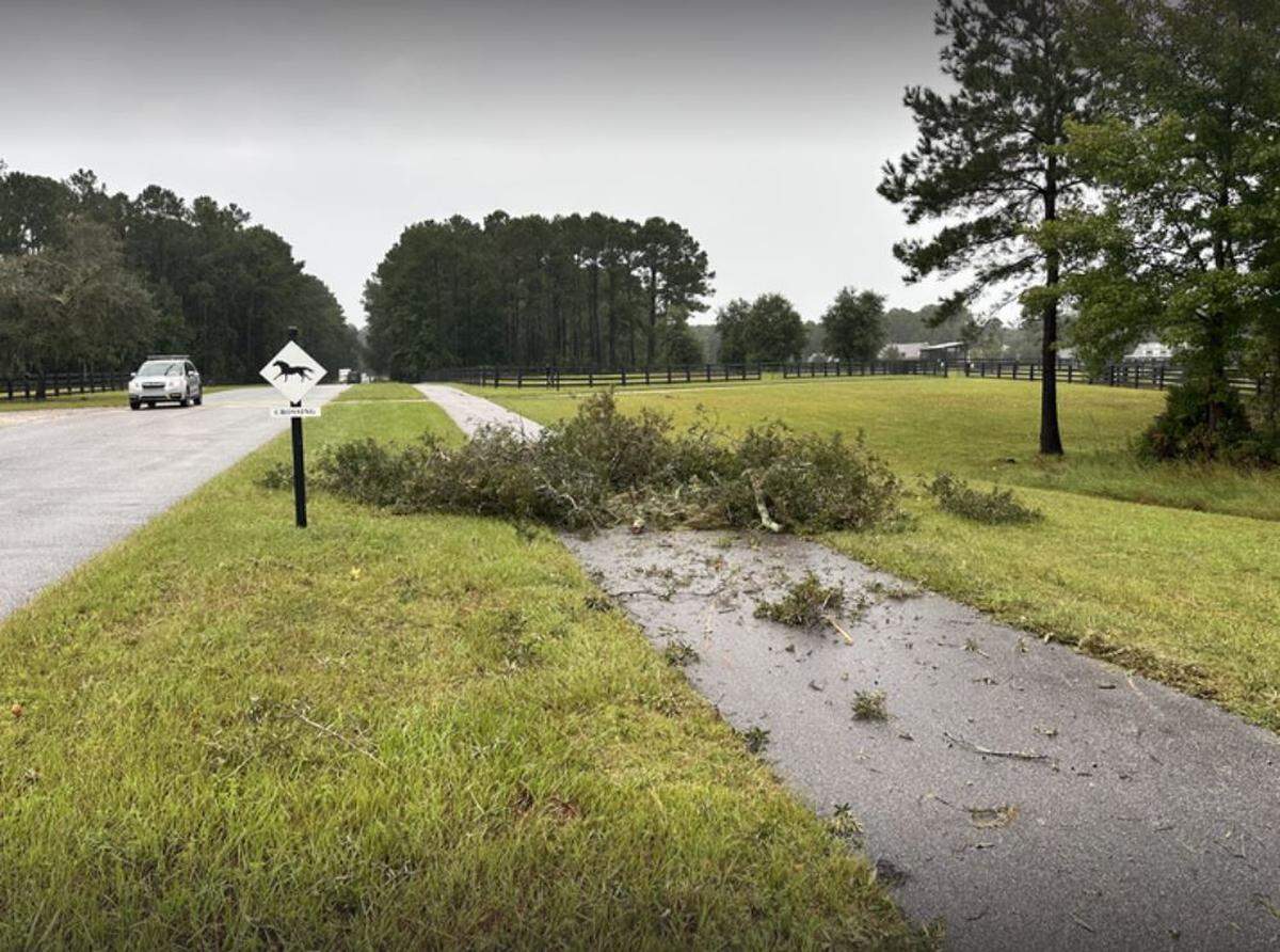 Tree damage due to the effects of Hurricane Helene in Palmetto Bluff on Thursday morning, Sept. 26, 2024, Bluffton South Carolina.