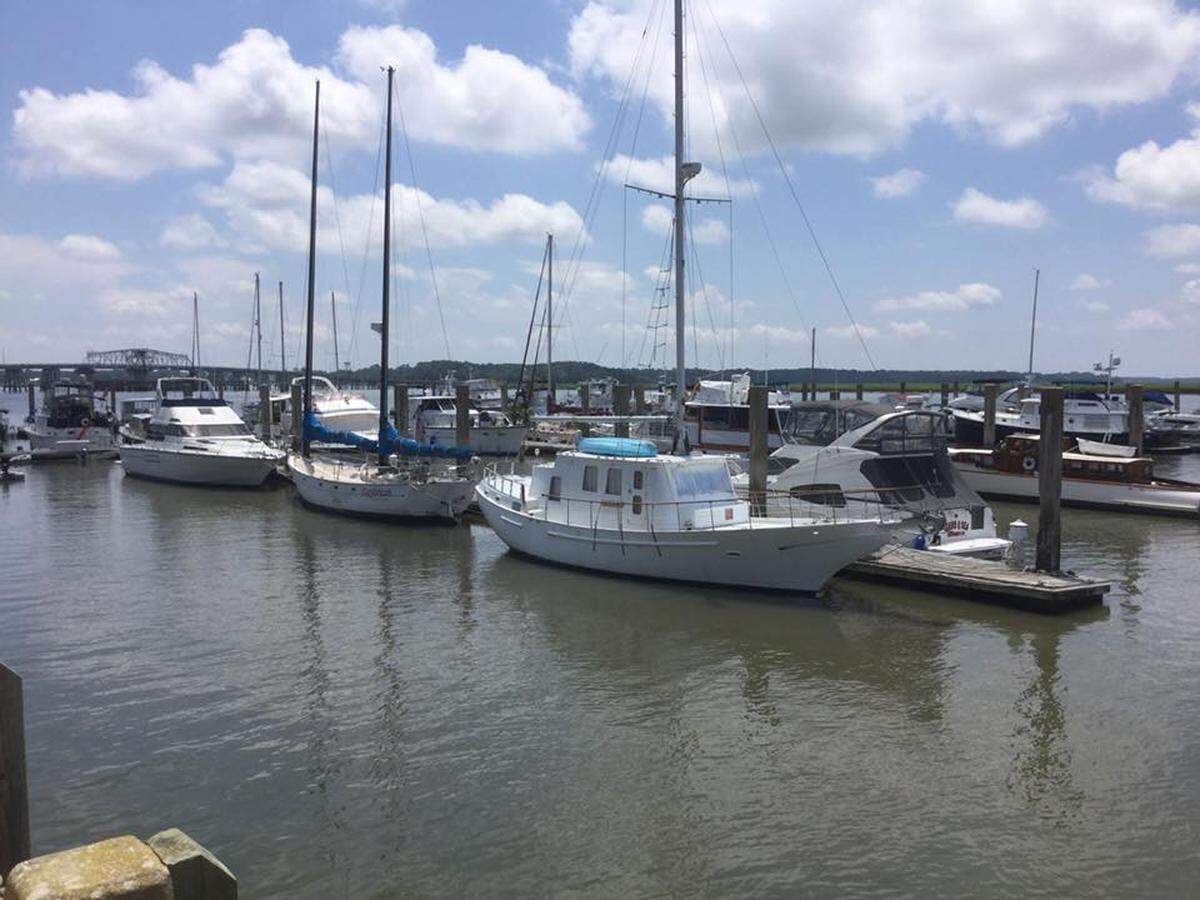 A variety of boats are tied at Beaufort Downtown Marina. The city is looking at finding a new operator for the marina and at potential improvements to continue to draw visitors and increase public access.