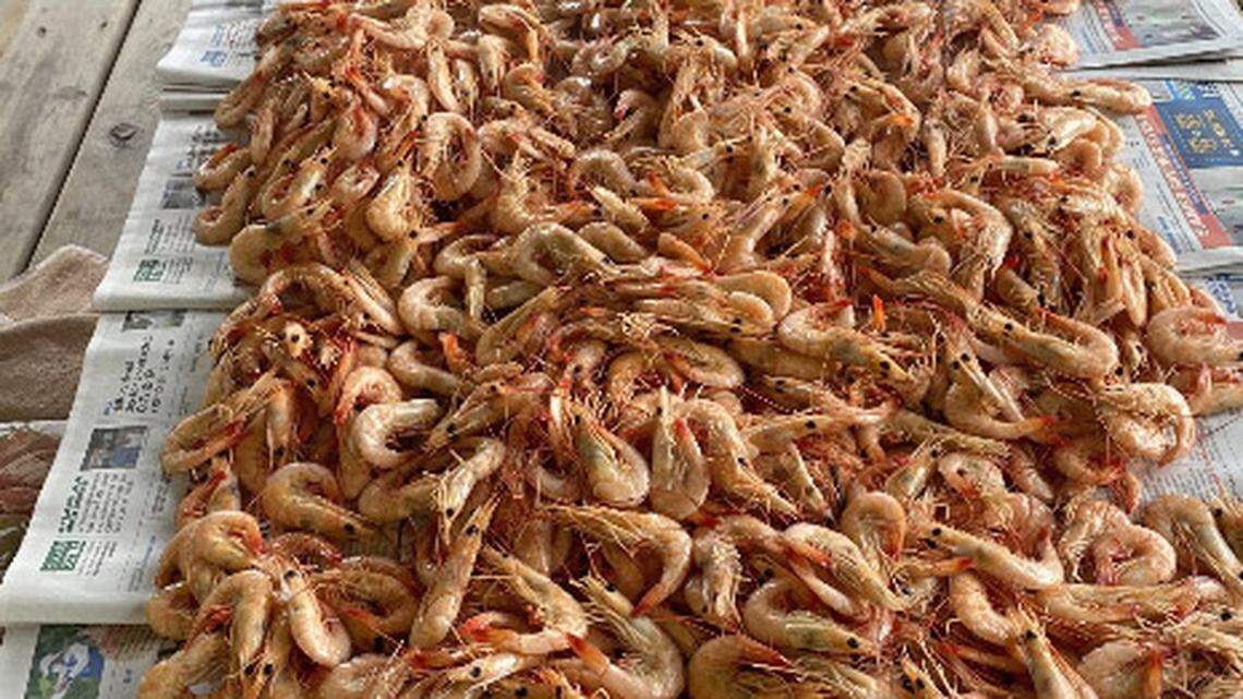 A table of fresh boiled shrimp in the heat of August whets the appetite.