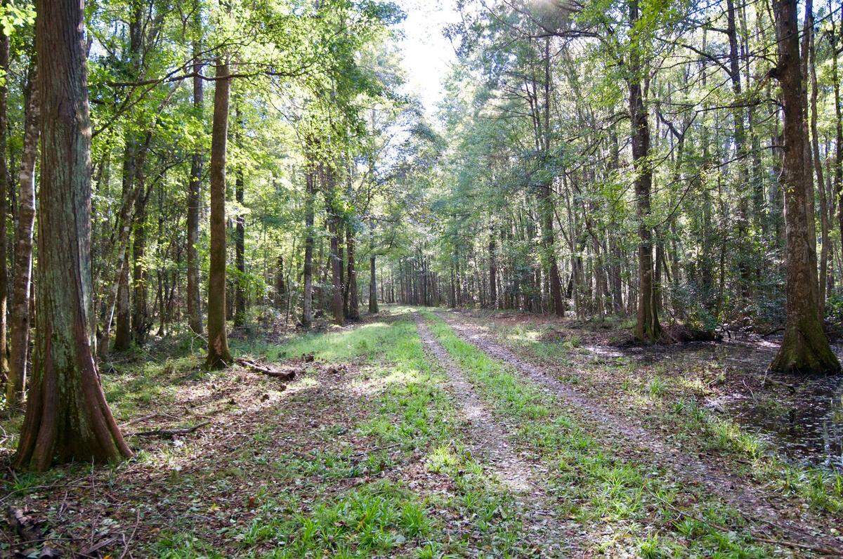 Slater Plantation in Jasper County
