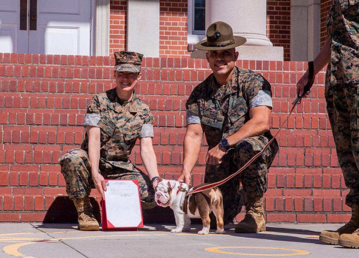 Meet Marine Corps Recruit Depot Parris Island’s newest mascot, Opha Mae II.