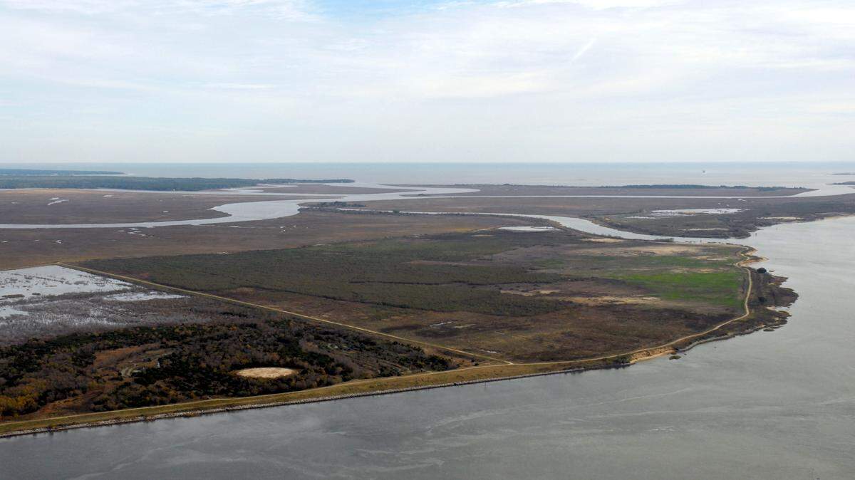 This photo provided by the Georgia Ports Authority shows the location where the bi-state Jasper Ocean Terminal will be located along the Back River in Jasper County, S.C.