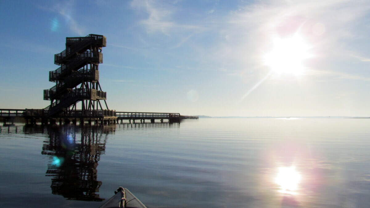"The Sands" beach in Port Royal is a welcome destination to encounter wildlife and wild views.