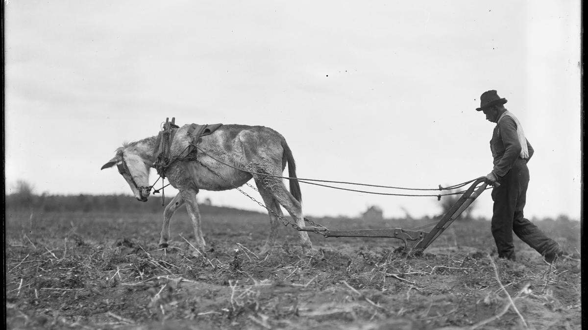 Carrie and Butch Hirsch used about 20 archival photographs depicting the daily lives of the Gullah for their documentary film "Hilton Head Island Back in the Day: Through the Eyes of the Gullah Elders."