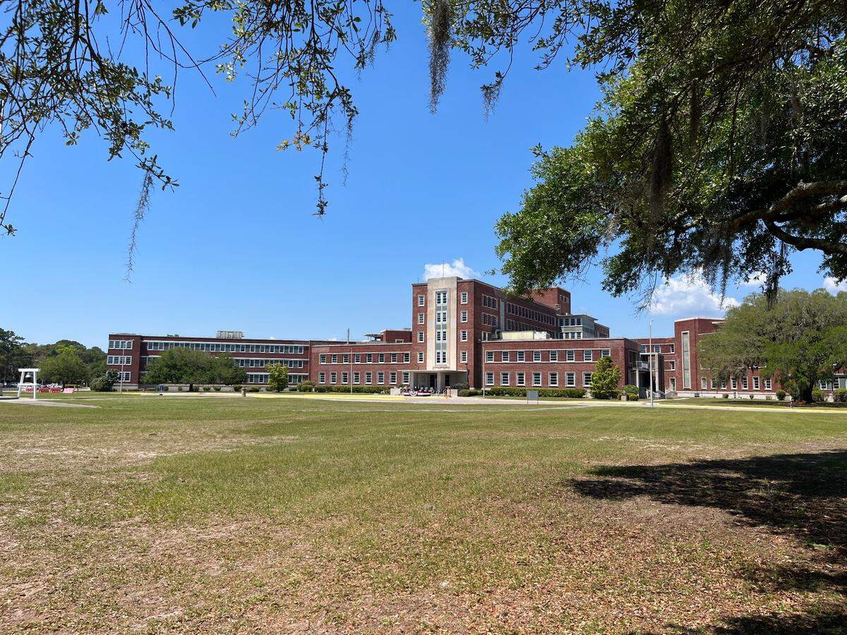 Town of Port Royal officials want more specifics on a plan to remove 247 trees at the Naval Hospital in Port Royal.