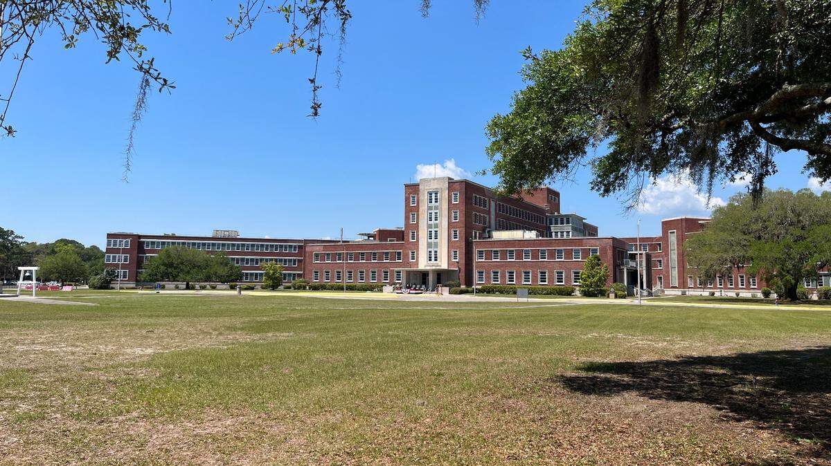 Town of Port Royal officials want more specifics on a plan to remove 247 trees at the Naval Hospital in Port Royal.