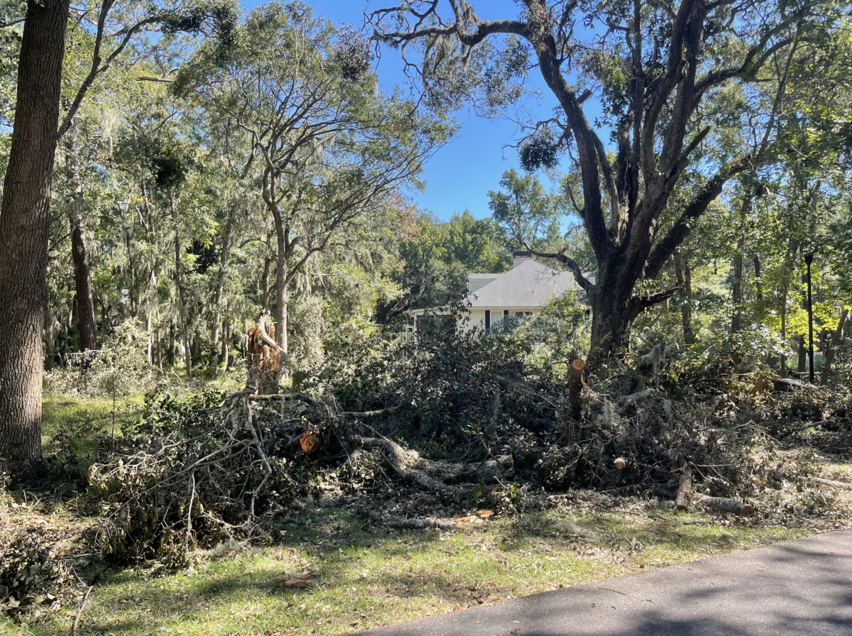 The right side of Dr. John Thompson’s yard in Melrose was filled with scattered downed trees and branches Monday afternoon after a Helene tornado swept across Daufuskie Island Thursday morning.
