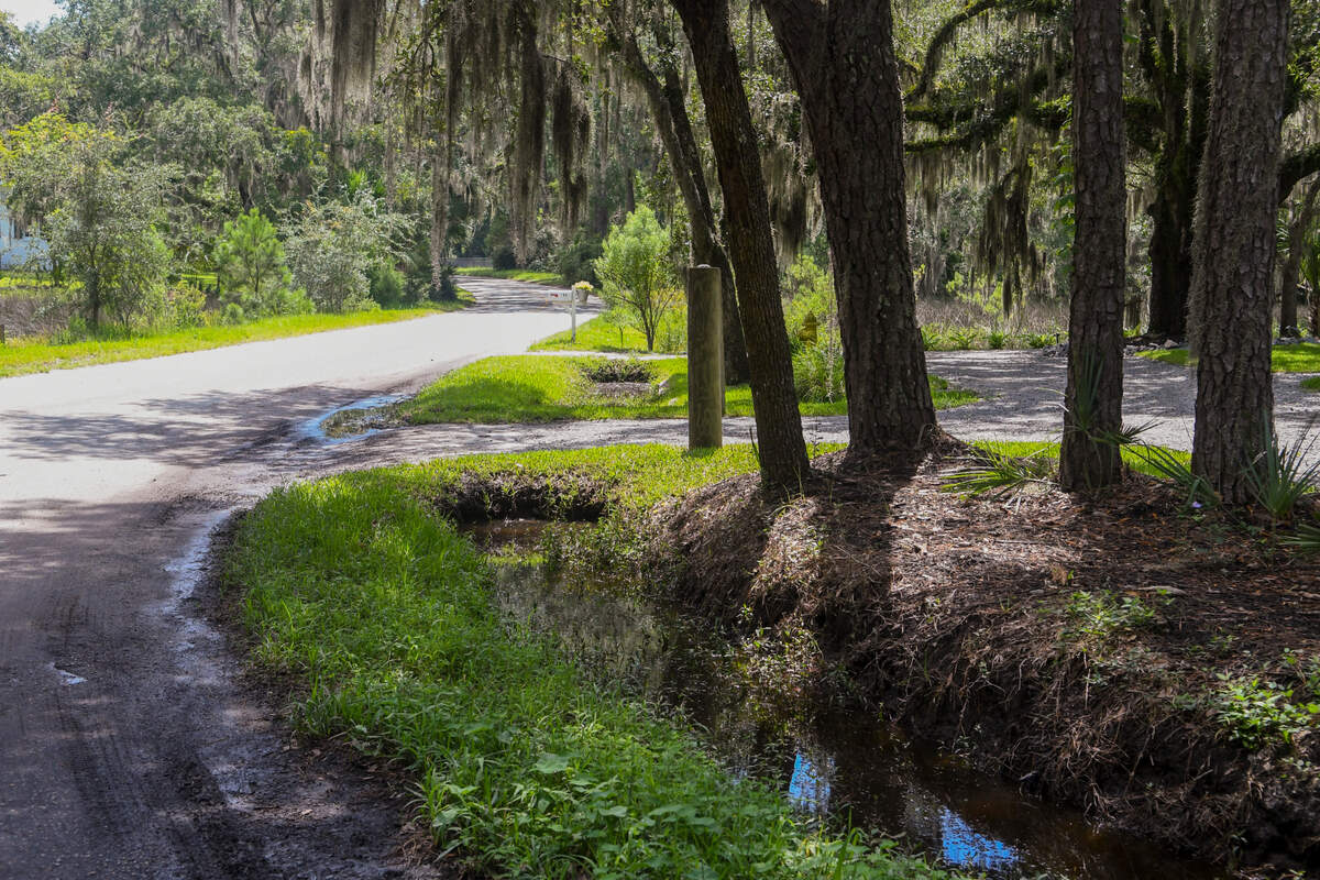 A break in the rains allows the Alljoy neighborhood to dry out but overgrown ditches along Ulmer Road, meant to carry stormwater away from the low lying area, remain stagnate and near capacity as seen on Aug. 30, 2022 from lack of regular upkeep.
