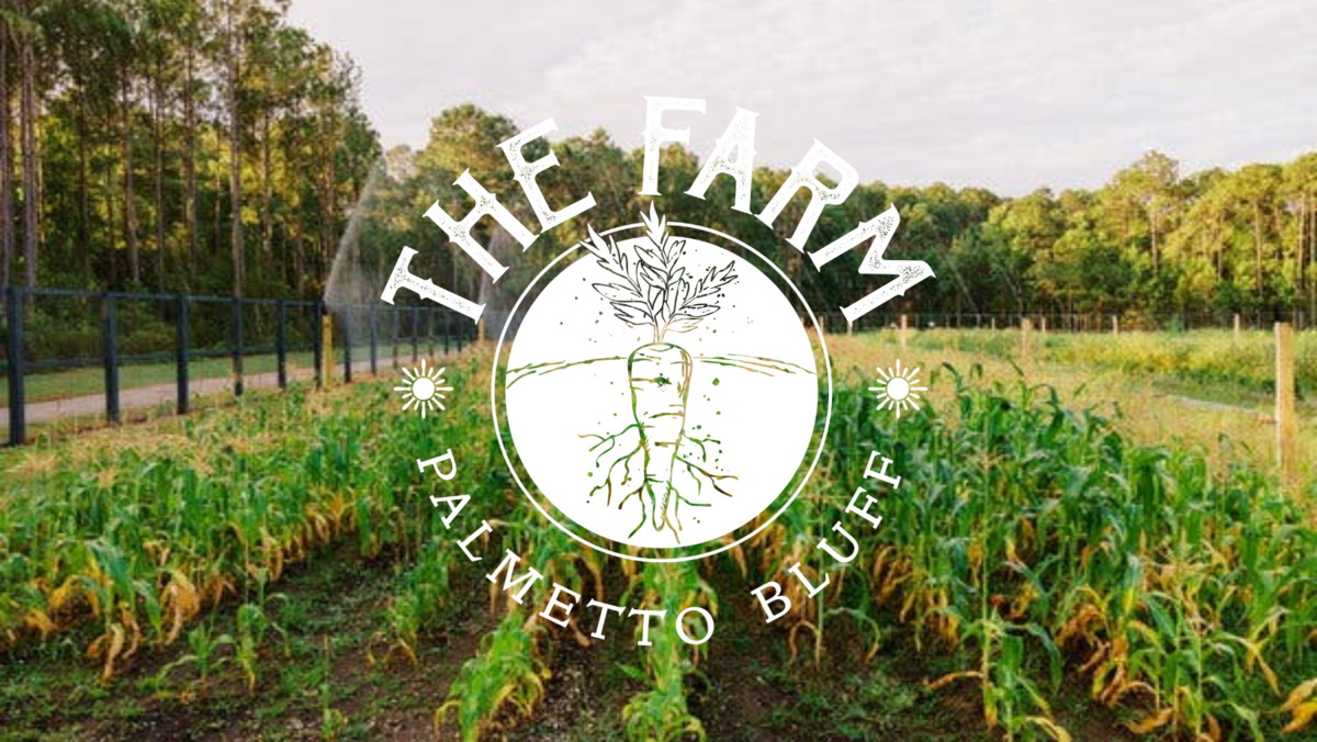 The Palmetto Bluff Farmers Market will be held from 9 a.m. to 1 p.m. at The Farm in Palmetto Bluff on select Wednesdays. The inaugural market will be held on May 24, 2023.