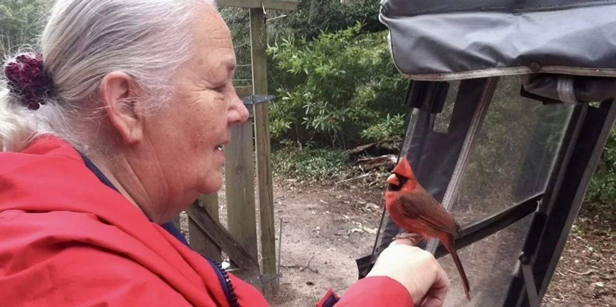 Pat Beichler, the farm’s general manager, raised most the birds in her bathroom until they were old enough to join the flock.