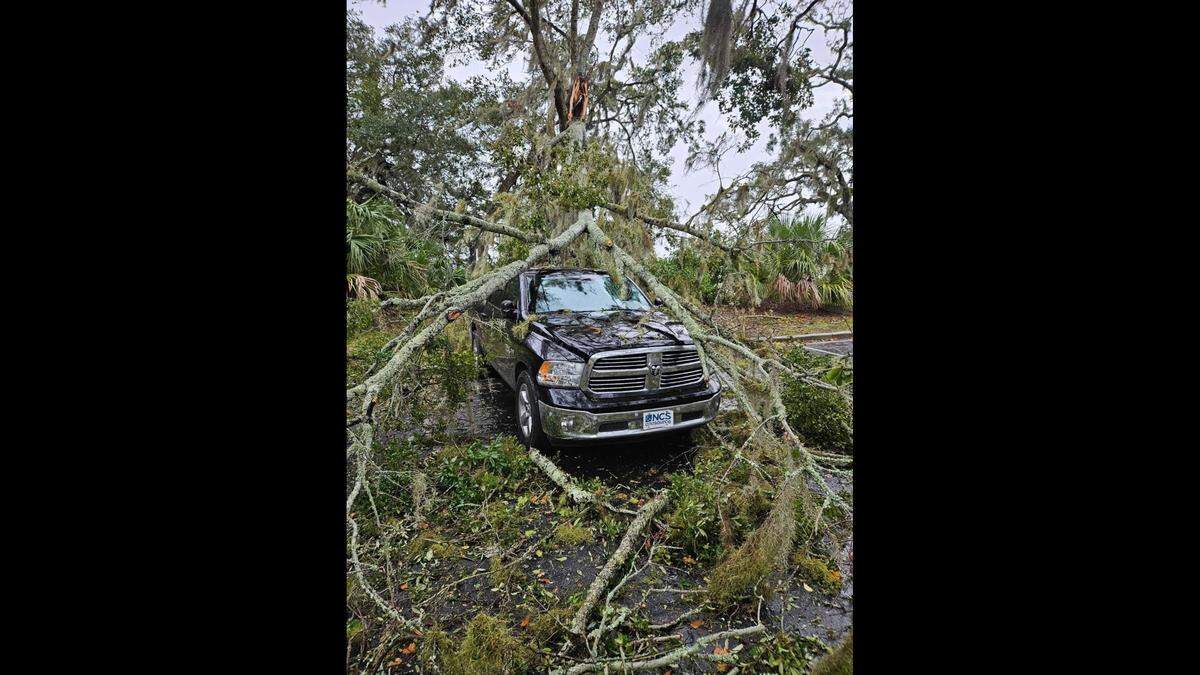 A tree fell on this pickup truck at the Hampton Inn parking lot off of Boundary Street. Winds from tropical Storm Helene took down many trees in the city as well as the neighboring town of Port Royal.