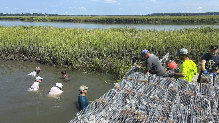 Photo gallery: Volunteers build oyster reef along Parris Island waterway