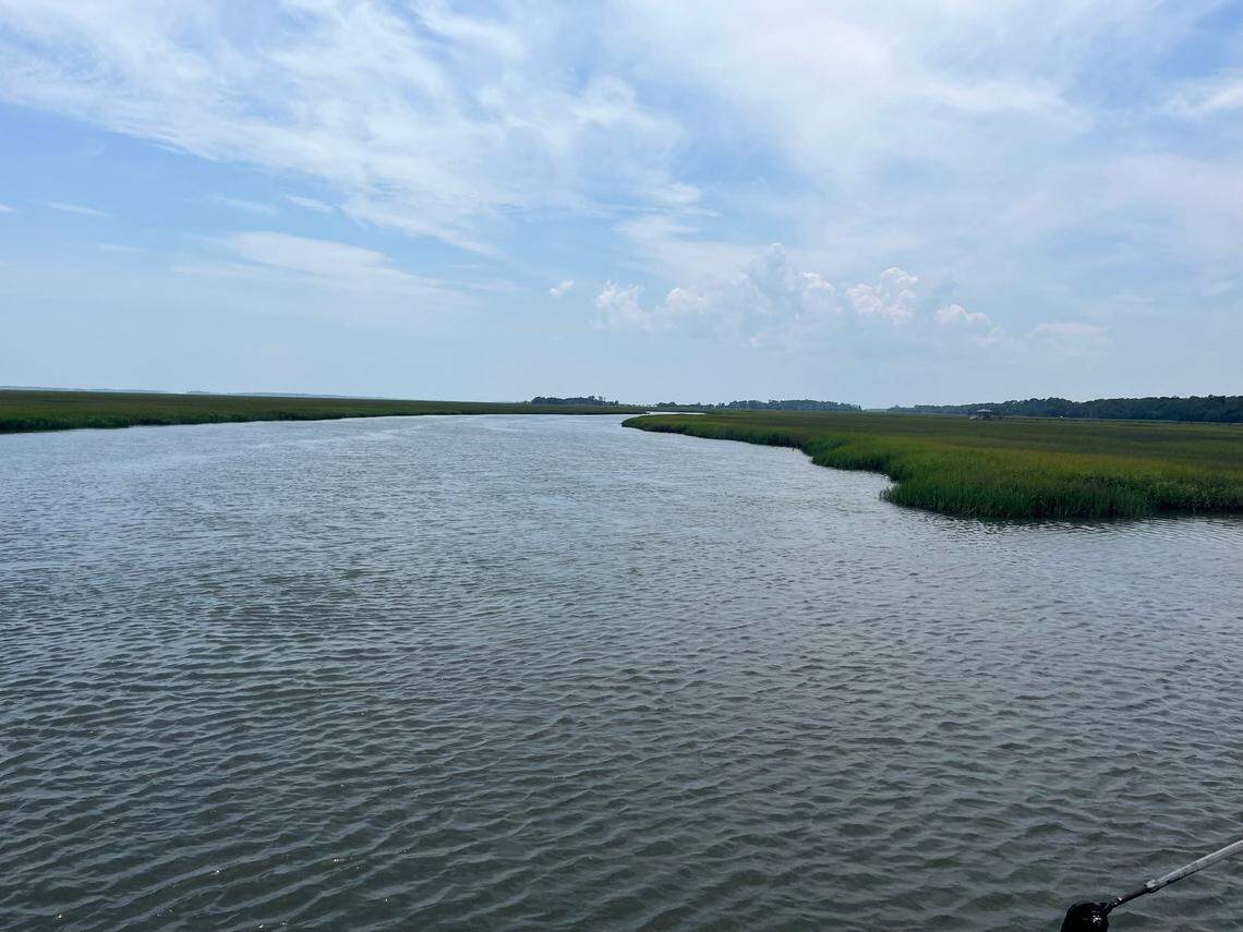 Gay Fish Co. is located on Ward Creek.