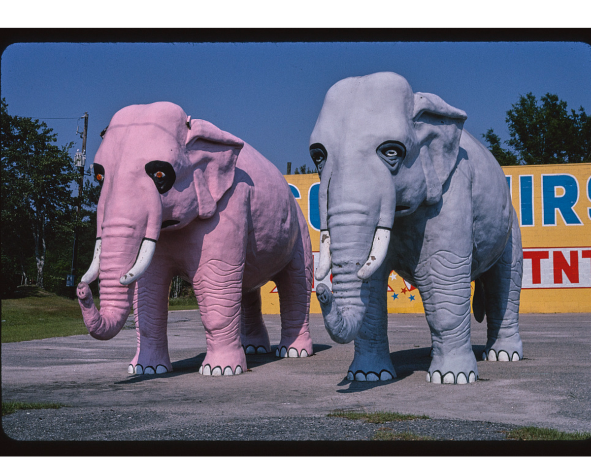 This 2004 snapshot of Hardeeville’s elephant statutes was taken by Connecticut-born photographer John Margolies as part of his “Roadside America” photo series, which is archived in the Library of Congress.