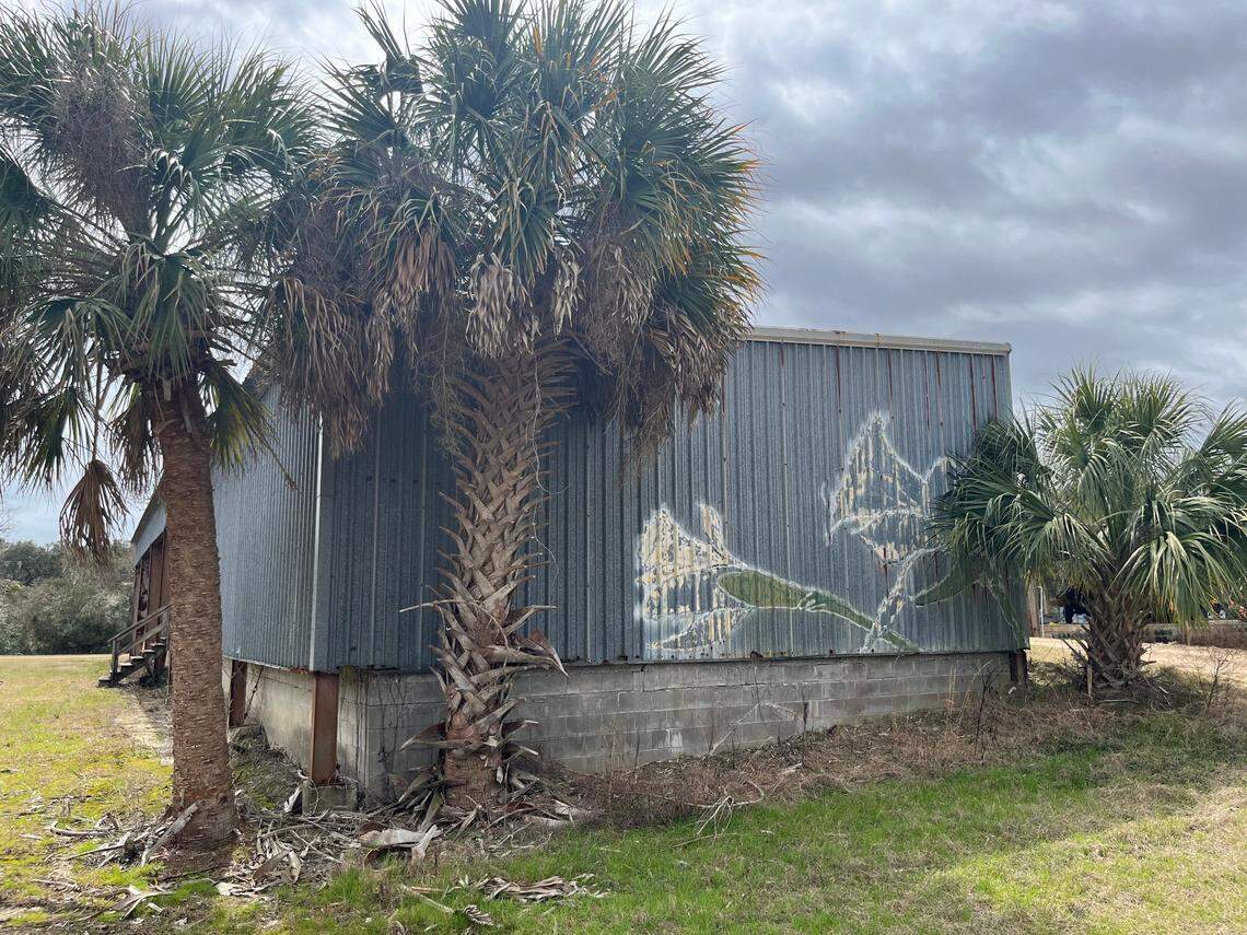 A packing shed where flowers were packed in preparation for shipment to East Coast grocery stores still stands on Cane Island. A daffodil is painted on one wall.