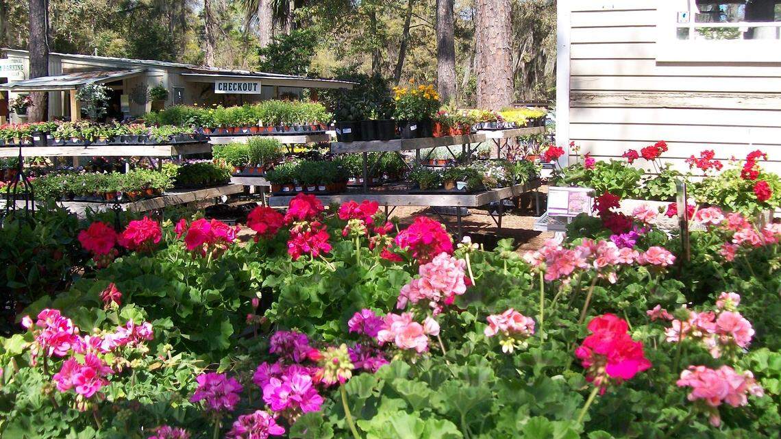 Gardeners head to area nurseries as spring weather sets in