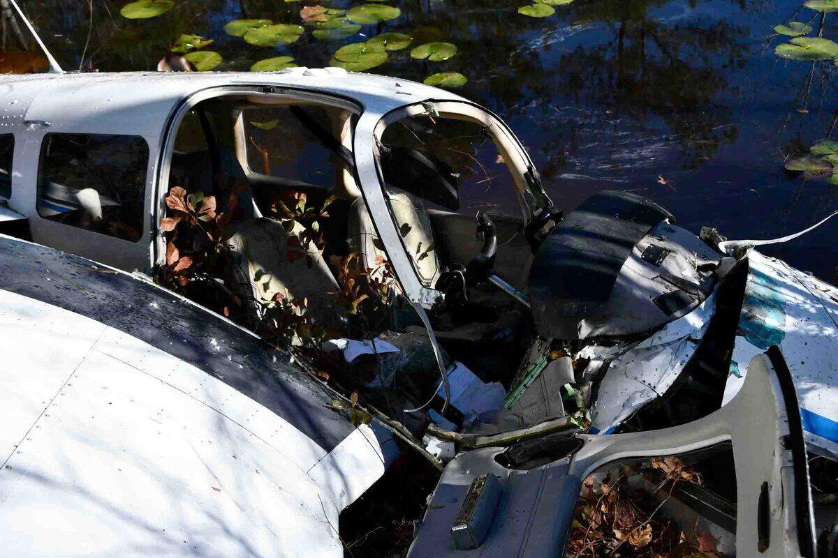 The Jan. 2 crash filled the cockpit with leaves and debris, also leaving the plane’s right wing “partially separated” from impact damage.