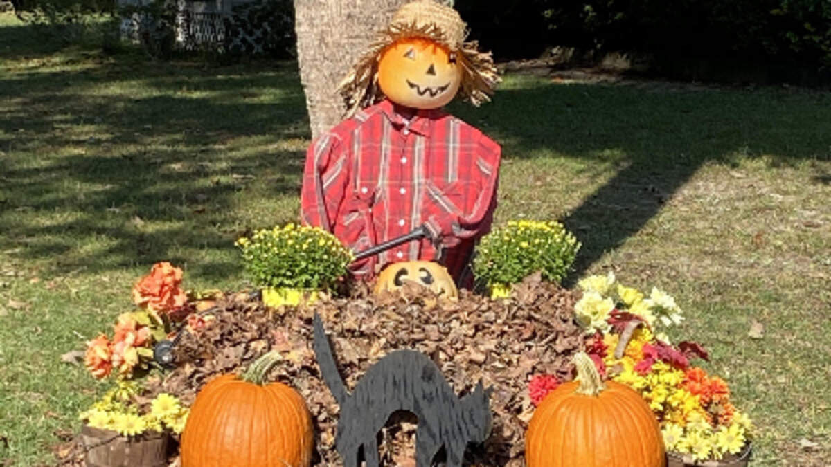 October is a must for fall decorations in the yard, with pumpkins, yellow mums and a black cat guarding the autumn leaves.