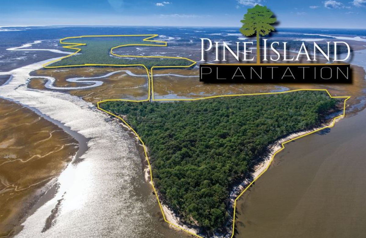 Pine Island Plantation totals 479 acres and features 77-acre-island, according to a Southeastern Land Group real estate listing. A 2,150-foot causeway crosses Pine Island Creek to get to Pine Island.