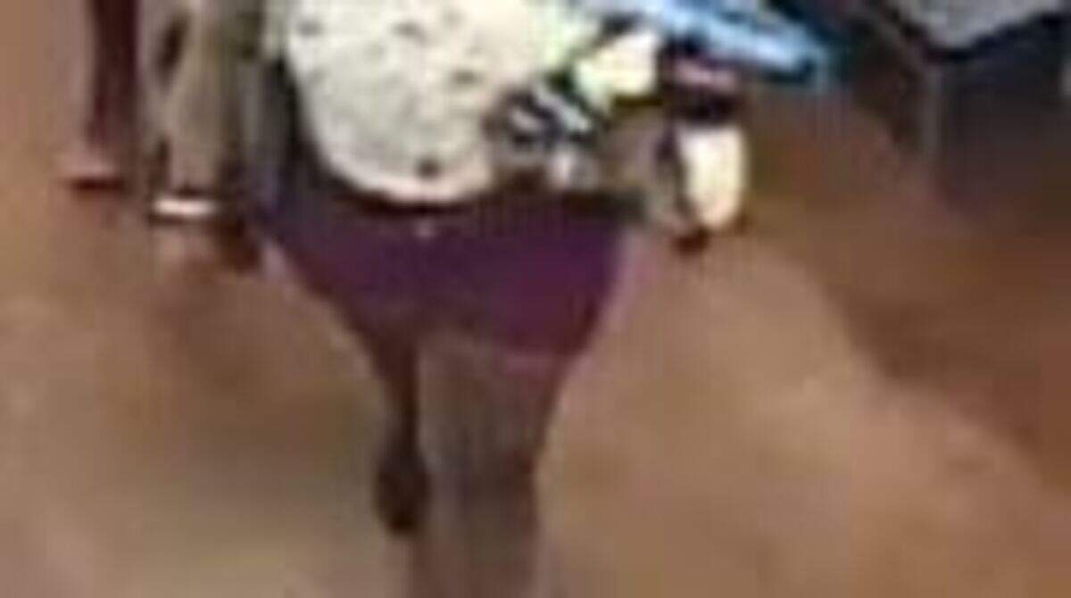 Police are hoping someone can help them identify this woman, accused of shoplifting from the Tommy Hilfiger store in Tanger 1 at 1254 Fording Island Road, on Aug. 5. Just before 5 p.m., and after declining assistance from the staff, they casually walked out of the store with approximately $1,500 worth of merchandise. The women were seen getting into a tan vehicle, possibly a Suburban, with a silver gas flap.