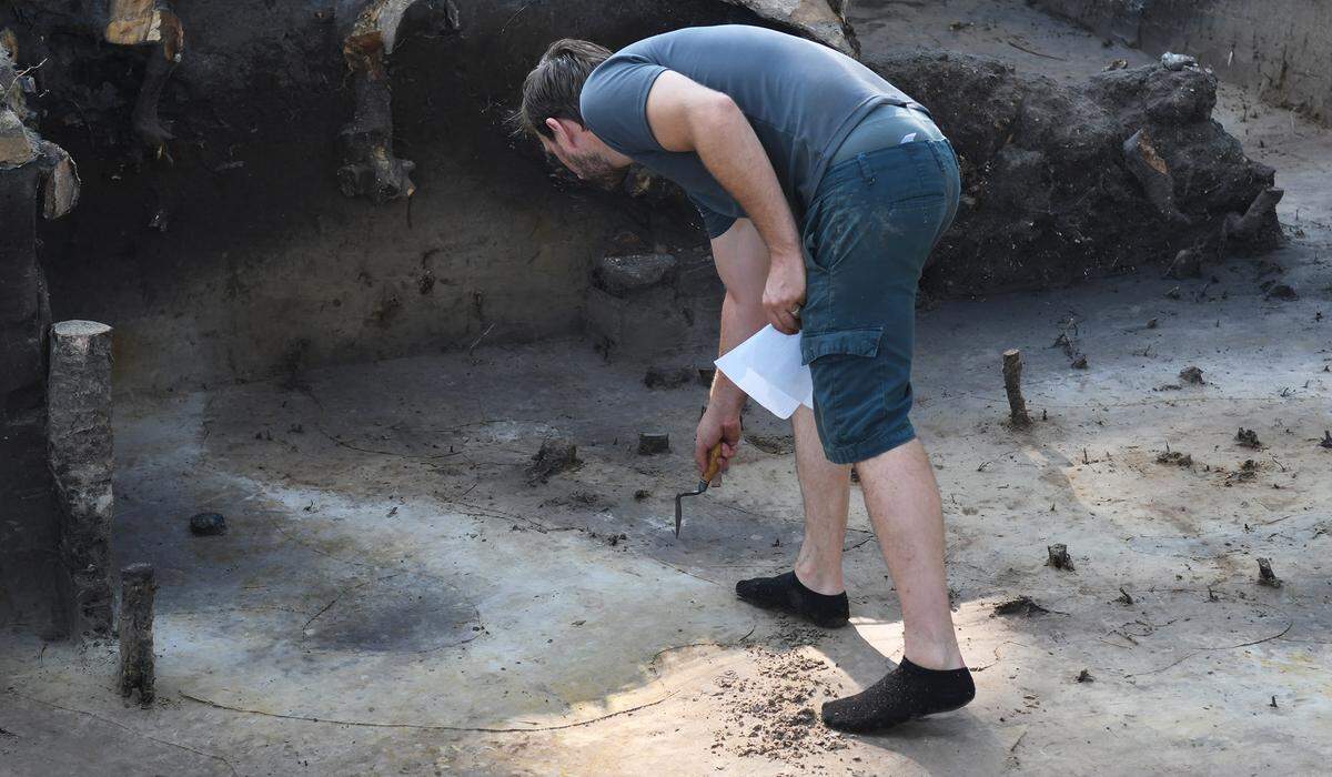 Binghamton University anthropology professor Matt Sanger scrapes this trowel through an area of darkened soil inside the Sea Pines shell ring excavation site on Wednesday. The shell ring was built by Native Americans some 4,000 years ago. Sanger says the dark area might indicate where the wall of a permanent structure once stood.