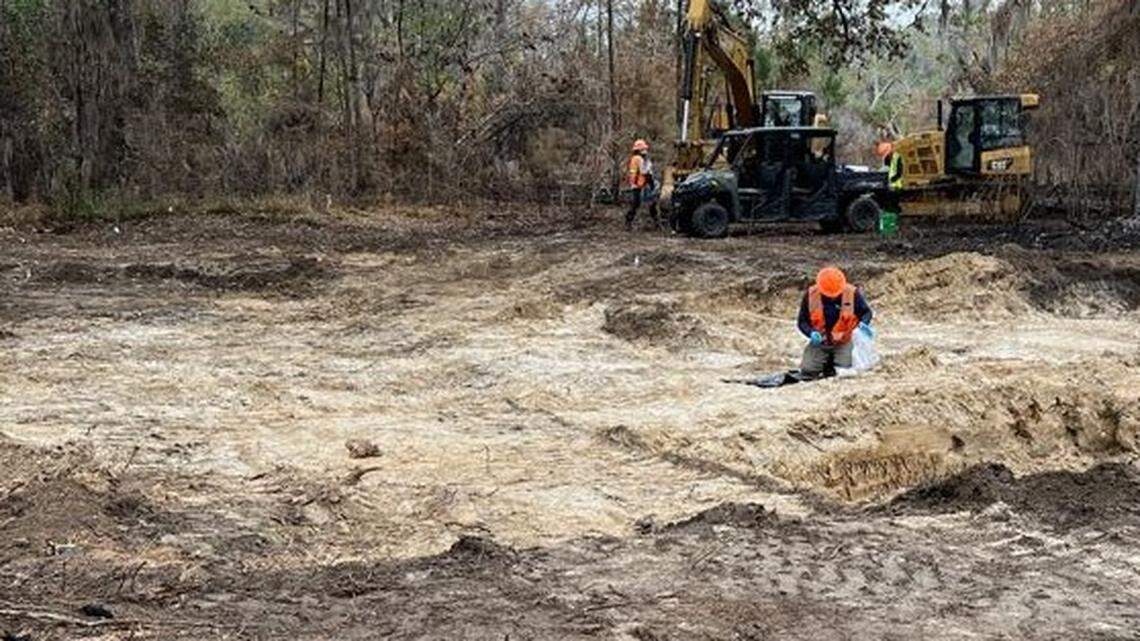 Oak trees ‘fried’: Cleanup at Beaufort fighter jet crash site called an ‘extreme operation’