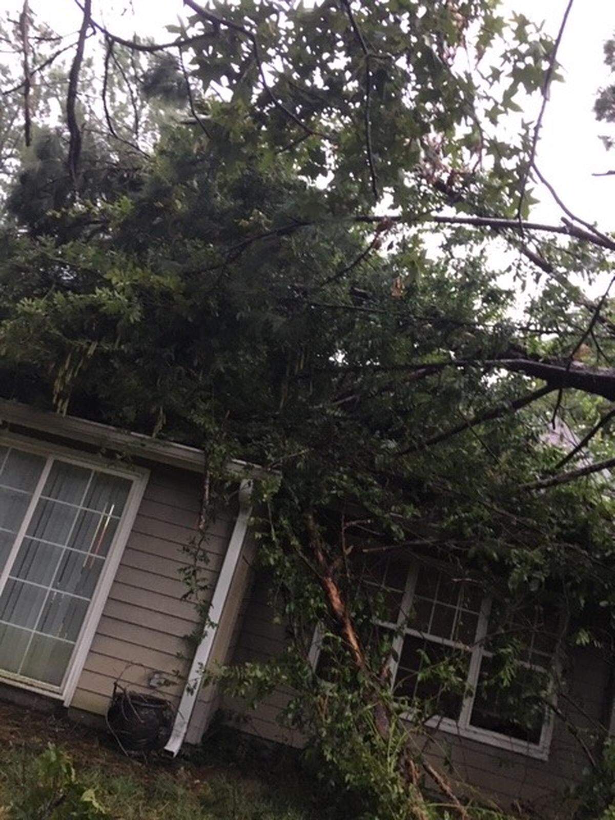 A tree fell on top of a home in the Heritage Lakes neighborhood in Bluffton on Thursday during Hurricane Dorian.