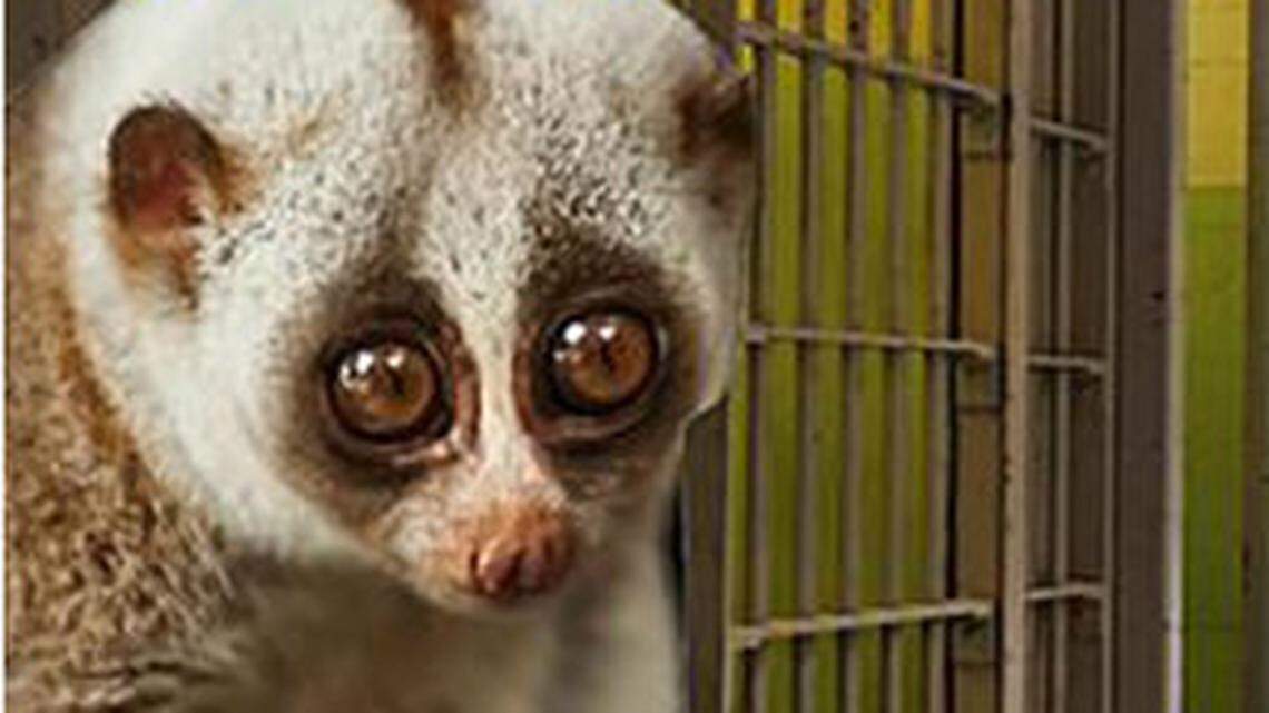 Best of 2014 videos! Click for today's theme