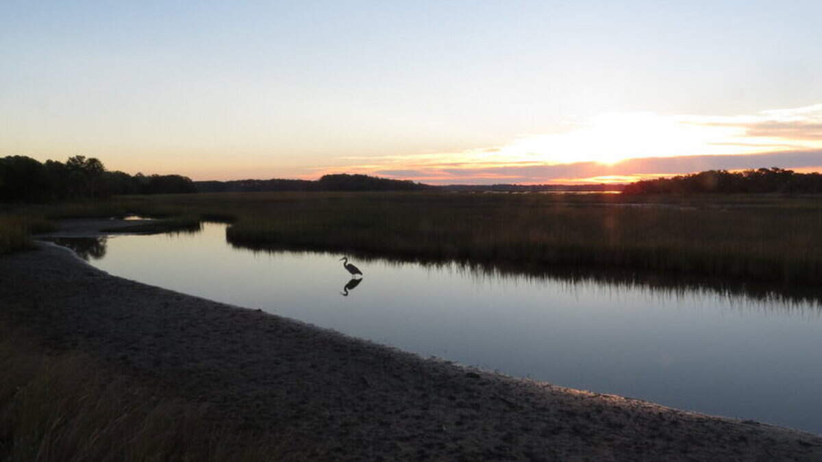 David Dahlke of Hilton Head Island was up before sunrise to get this picture of a heron in a quiet pool on Pinckney Island National Wildlife Refuge in November 2013.