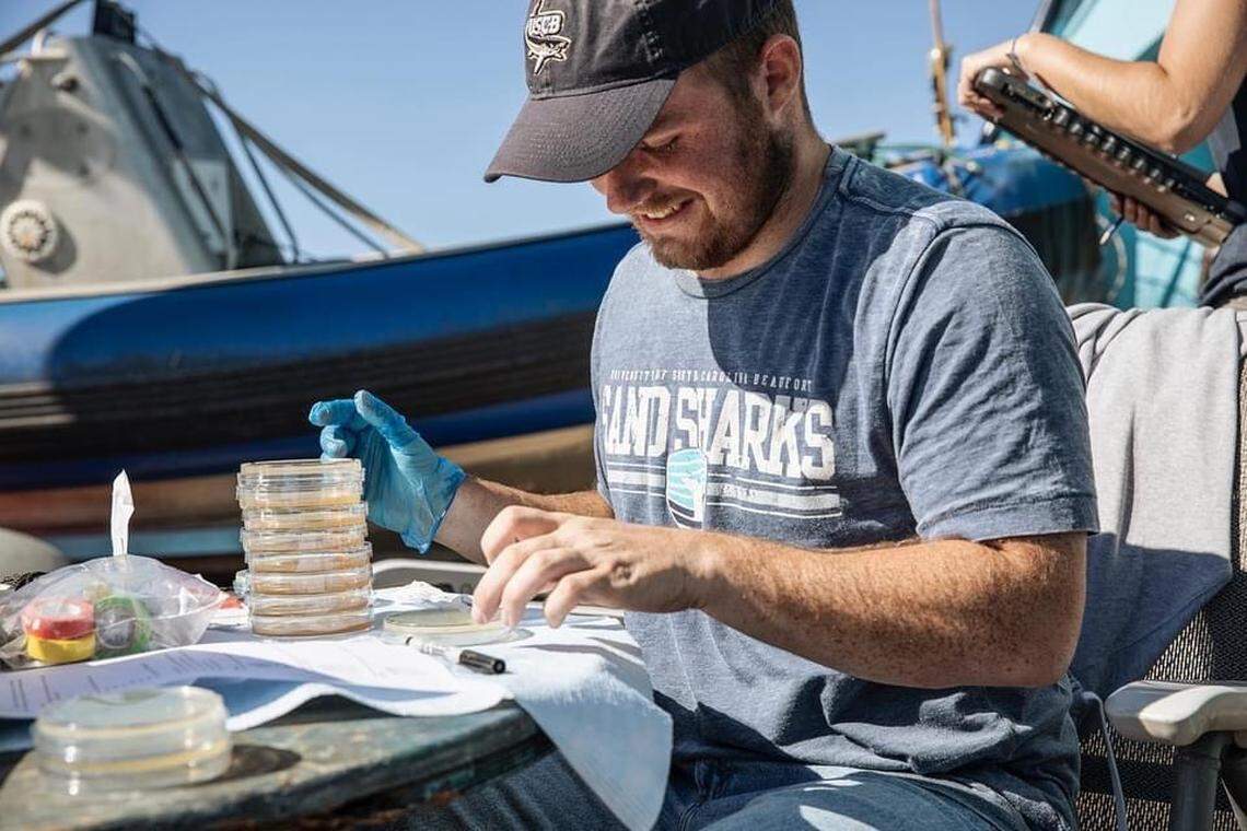 Will Crowson plates bacteria swabbed from a white shark that the OCEARCH team caught and released for research. Crowson was part of a May 2022 expedition through OCEARCH.