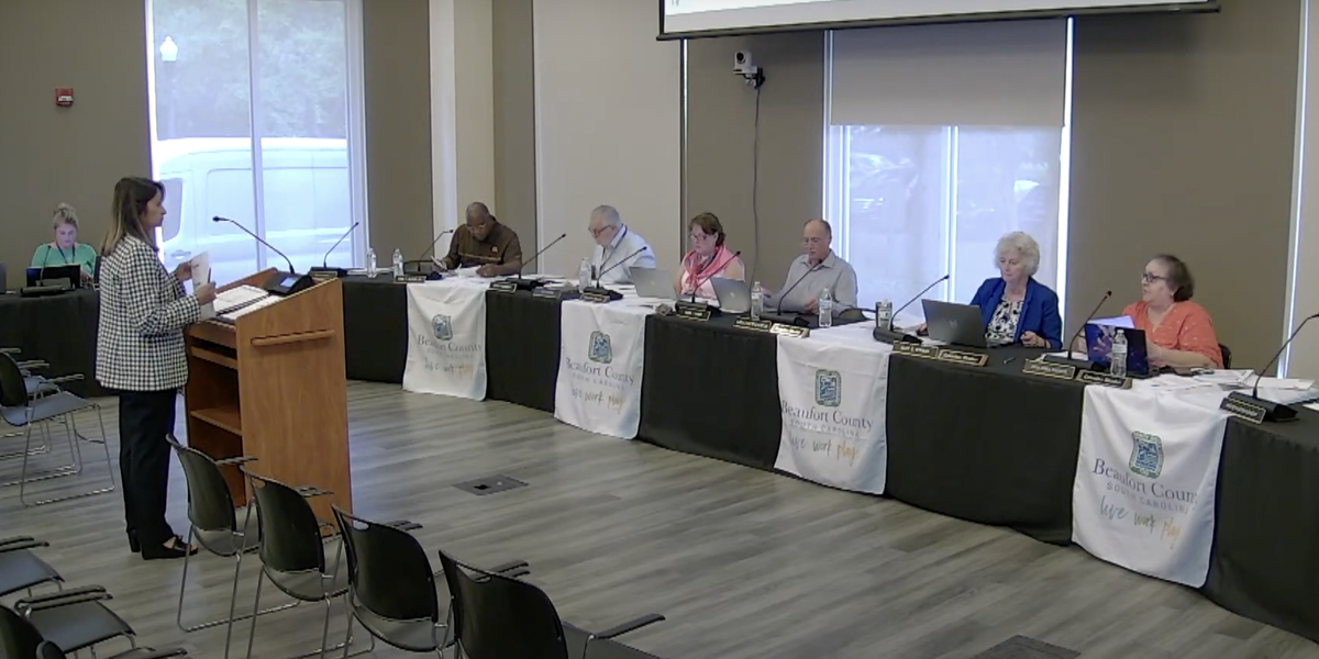 Beaufort County Chief Financial Officer Pinky Harriott presents the fiscal year 2026 budget to the county’s Finance Committee on May 8, 2025. 