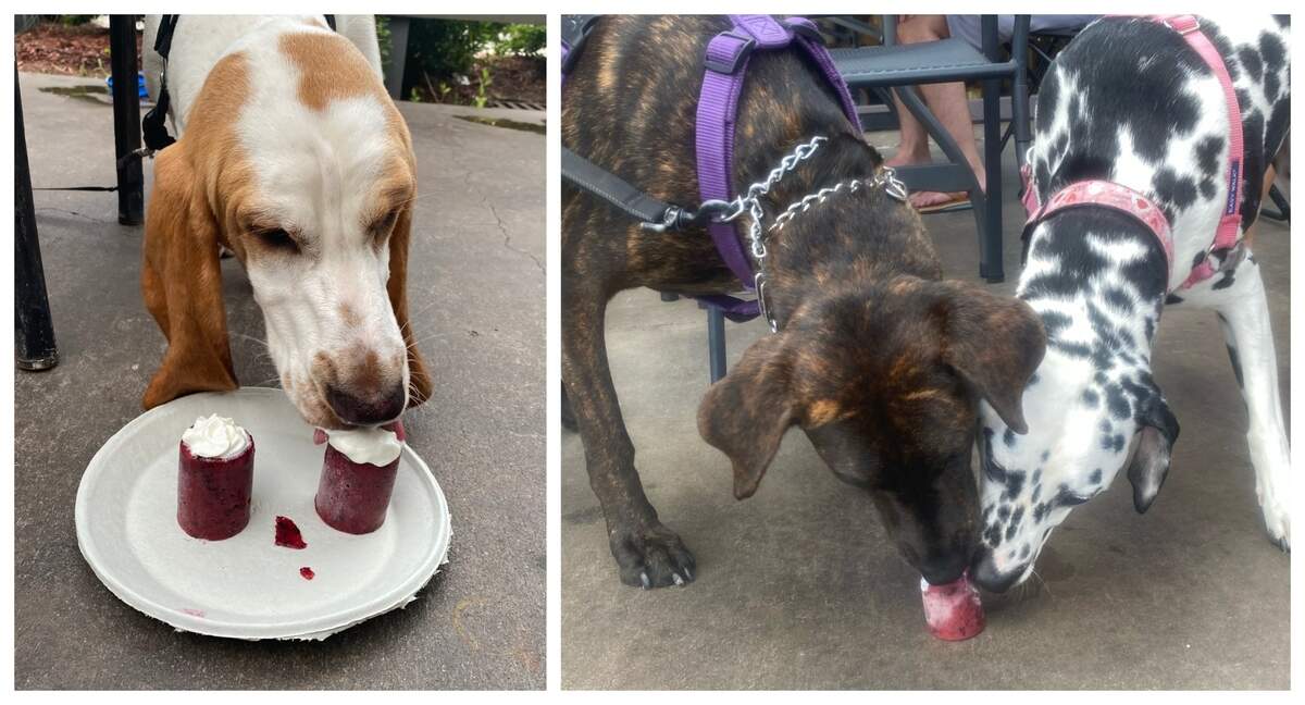 Pups share a fruity frozen Turbo’s Treats off the dog menu at Southern Barrel Brewing Co.
