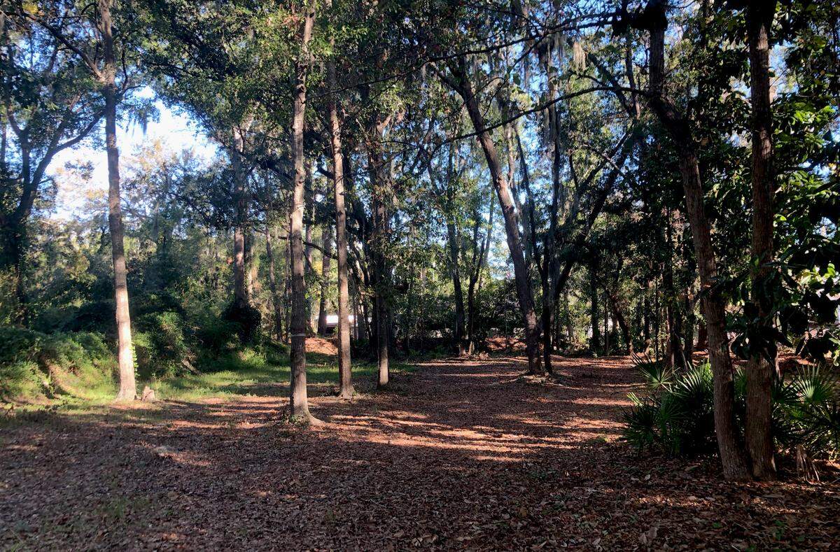 Although Garfield Moss’ plan for 12 new homes in Old Town Bluffton will not encroach on wetlands or “other environmentally sensitive areas,” according to town documents, it will require the removal of several trees.