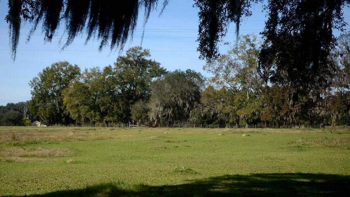 Bluffton property owned by the Graves family as seen in November 2015.