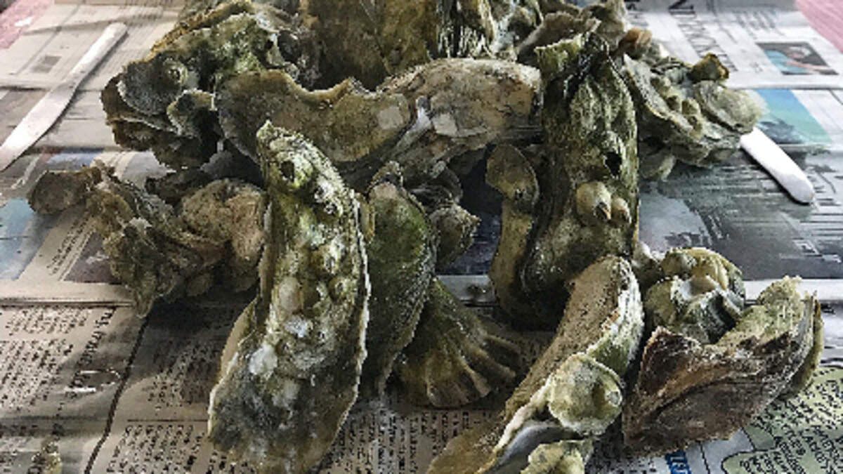 Steamed oysters go best with hot sauce and fresh lemon.