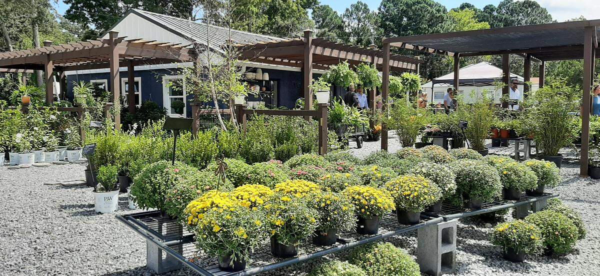 LowCo Gardners sells shrubs, flowers, perennials, trees, plants, cut flowers -- and coffee.